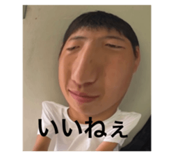 520046308