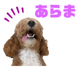 520054690