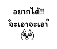 520060216
