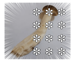 520061430