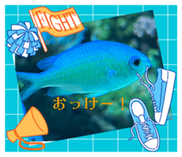 520065915