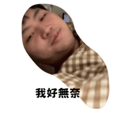 520068728