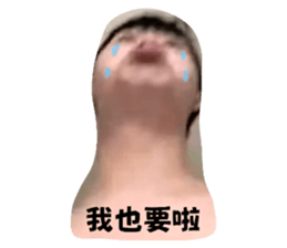 520068730