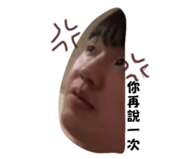 520068731