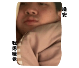 520068732
