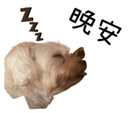 520082550