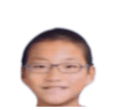 520090786