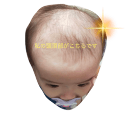 520093056