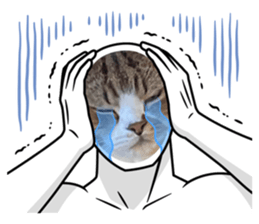 520117096