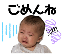 520117828