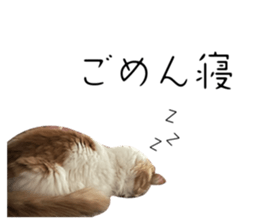 520123631