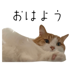 520123635