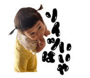 520132733