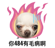 520133249