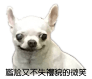 520133271