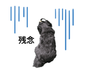 520149452