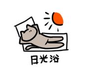 520151648