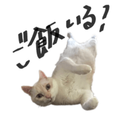520156075