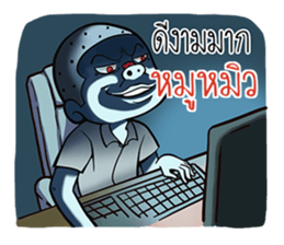 520158255