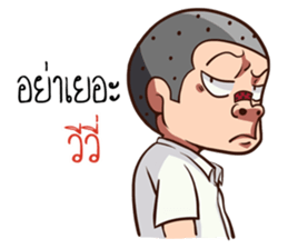 520163849
