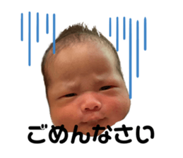 520167591