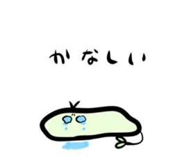 520168268
