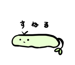 520168276