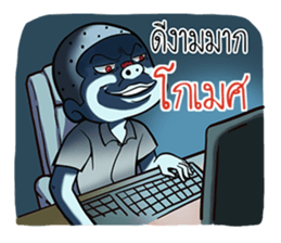 520173311
