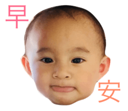 52019071