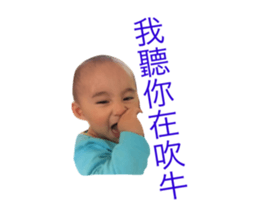 52019075