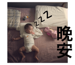 52019690