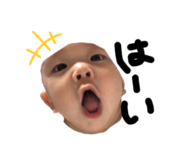 520235274