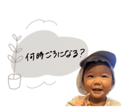 520269423