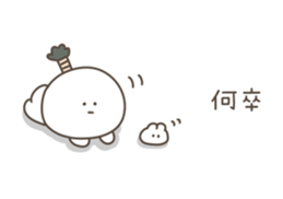 520360096