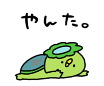 520382629