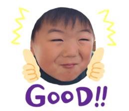 520404694