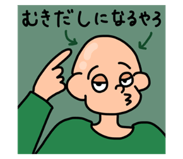 520406685