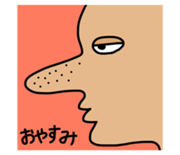 520406690