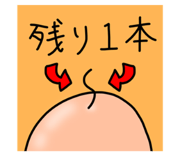 520406706