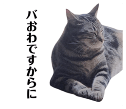 520481640