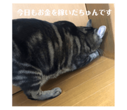 520481642