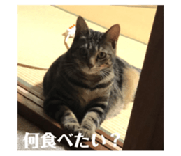 520481657