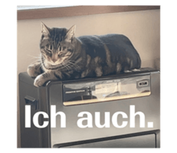 520481667
