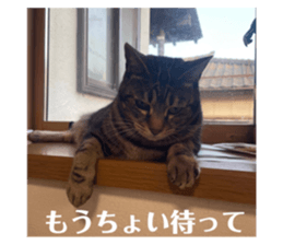 520481668