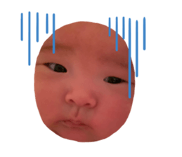 520497051