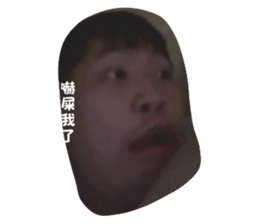 520497121
