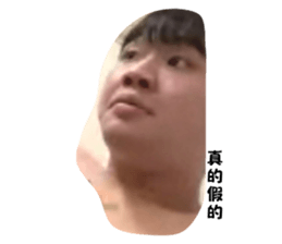 520497137