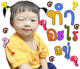 520503769