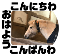 520504937