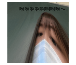 520513427